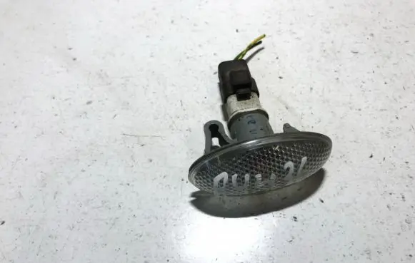 Citroen Xsara Picasso Front fender indicator light