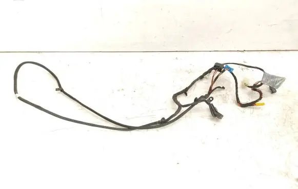 BMW Z4 E85 E86 Other wiring loom 13174006 61207845