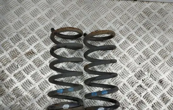 Opel Antara Rear coil spring
