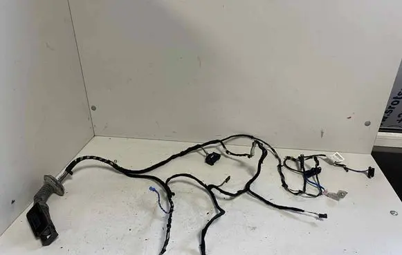BMW 3 F30 F35 F31 Front door wiring loom 9286236 19344411 EG9321