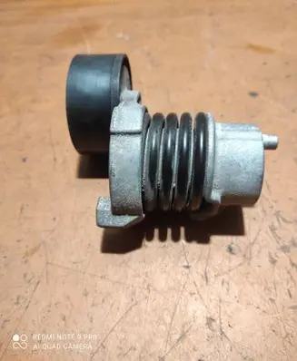 Dacia Sandero Alternator belt tensioner 117506193R