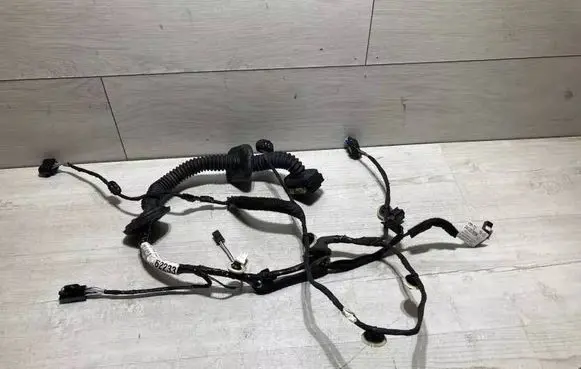 Renault Megane IV Front door wiring loom/harness boot 241257828r