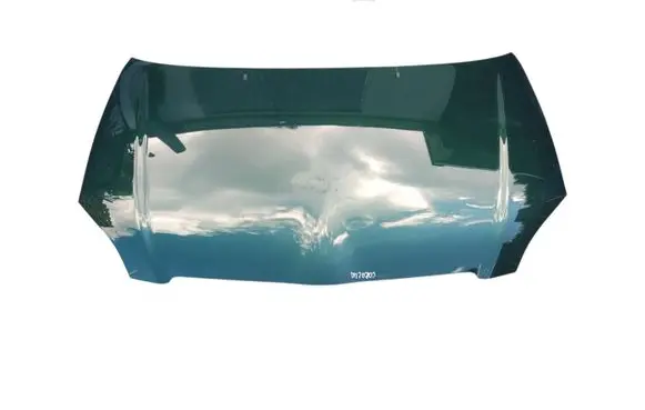 Engine bonnet/hood