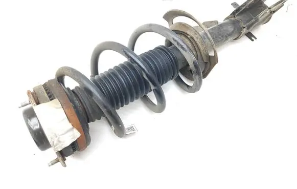 Chrysler Pacifica Front shock absorber with coil spring 07918073700 824904011572 0801832125