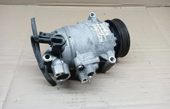 Skoda Yeti (5L) Air conditioning (A/C) compressor (pump) 5N0820803E 01222203617D 011405620003