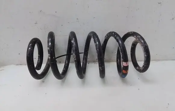 Front coil spring