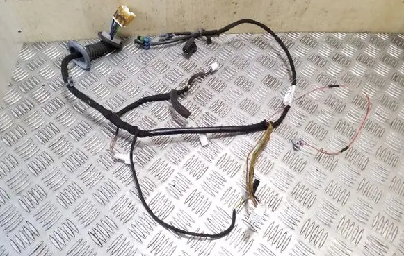 Front door wiring loom