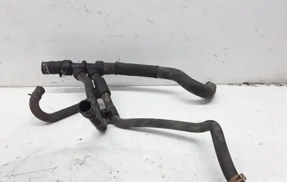 Renault Scenic I Engine coolant pipe/hose 800320215C