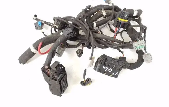 Infiniti Q30 Other wiring loom A2465453640