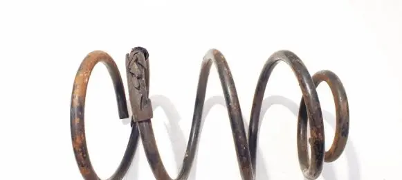 Chrysler Neon I Front coil spring