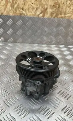 Chevrolet Captiva Power steering pump 13C211