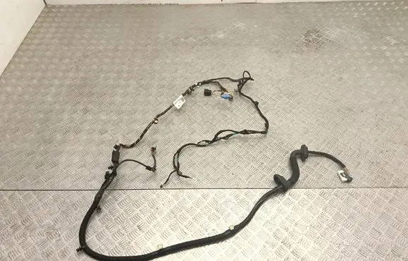 Tesla Model Y Juniper Front door wiring loom 193389303D