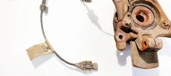 Other wiring loom