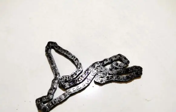 Ford Focus Timing chain (engine) 