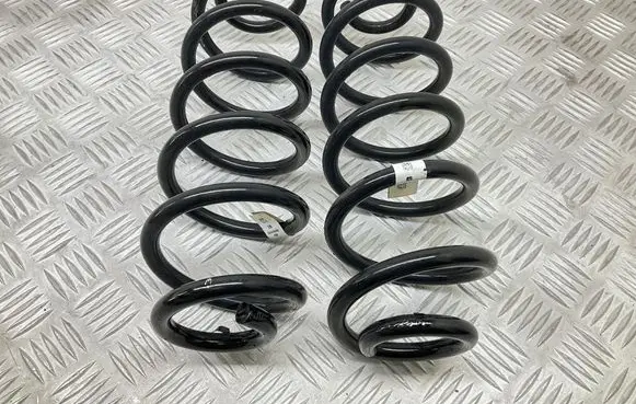 Rear coil spring