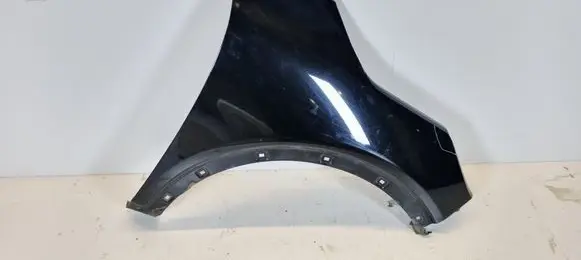 Fender