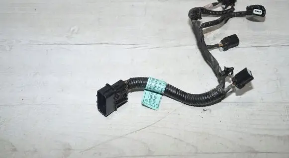 Other wiring loom