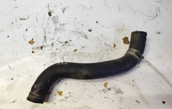 Honda Accord Engine coolant pipe/hose