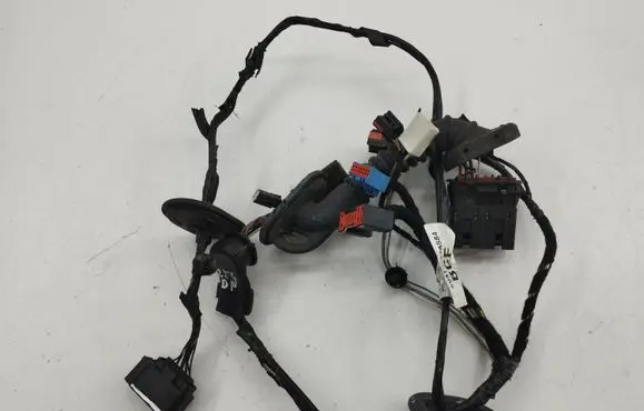 Front door wiring loom