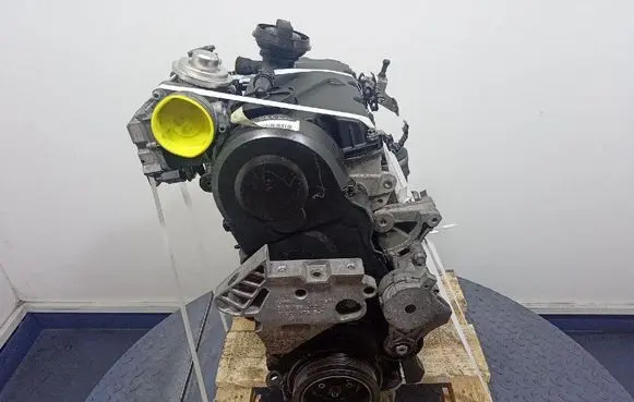 Volkswagen Golf Plus Engine BKC