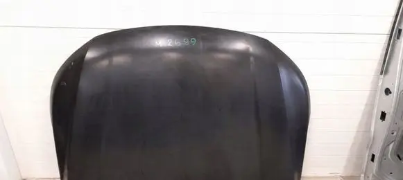 Hyundai Terracan Engine bonnet/hood