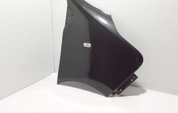 Renault Trafic III (X82) Fender 631009846R