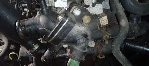 Renault Scenic I Engine coolant pipe/hose