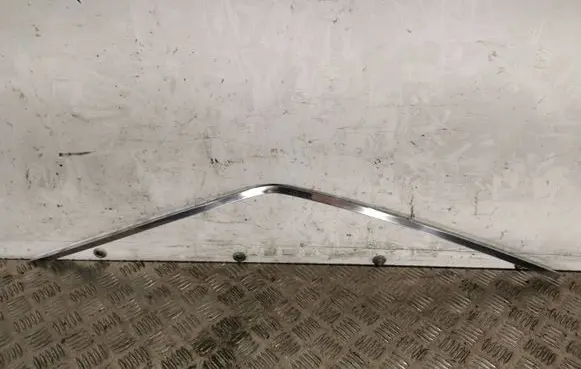 Nissan 370Z Front door trim (molding) EAL