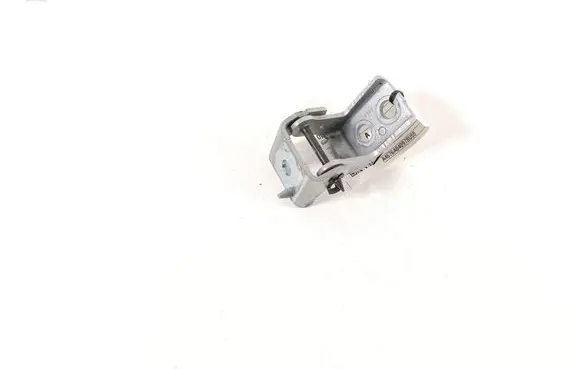 Rear door lower hinge
