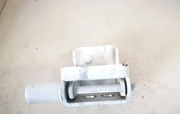 Renault Zoe Rear door lower hinge