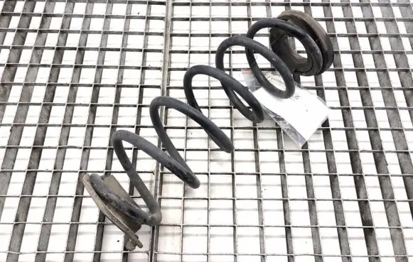Rear coil spring