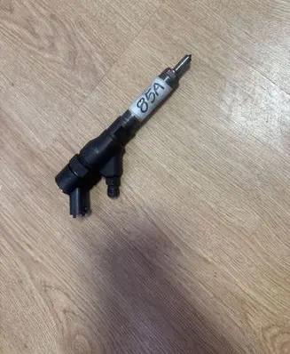 Citroen Jumper Fuel injector 0445110076