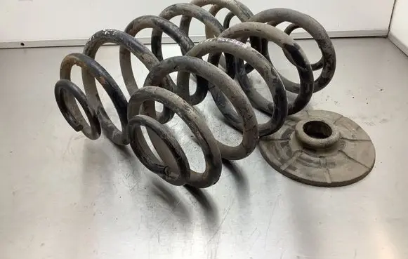 Opel Insignia A Rear coil spring 