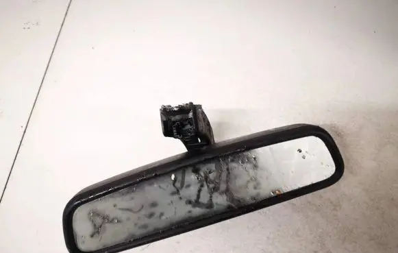 BMW X5 E53 Rear view mirror (interior) E11015891