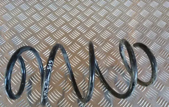 Front coil spring
