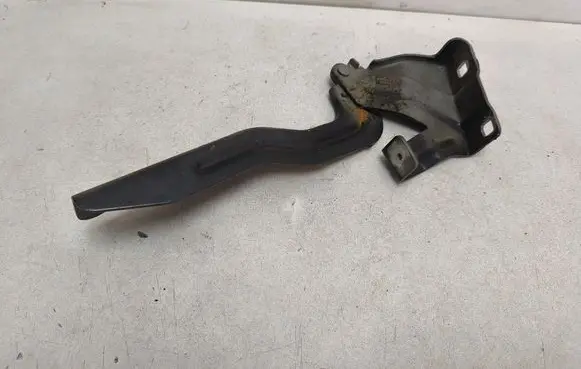 Nissan Qashqai Engine bonnet/hood hinges 4EAL