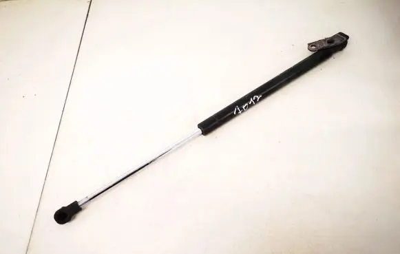 Toyota Urban Cruiser (XP110) Tailgate/trunk strut/damper