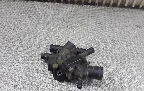 Thermostat/thermostat housing