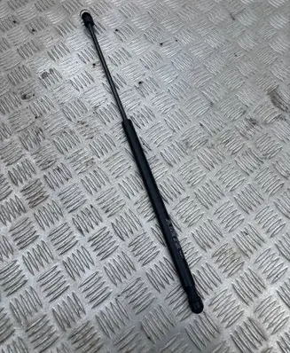 Opel Astra H Tailgate/trunk strut/damper 24493 F1310N 19L211