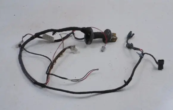 Front door wiring loom