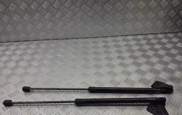 Ford C-MAX I Tailgate hydraulic set 