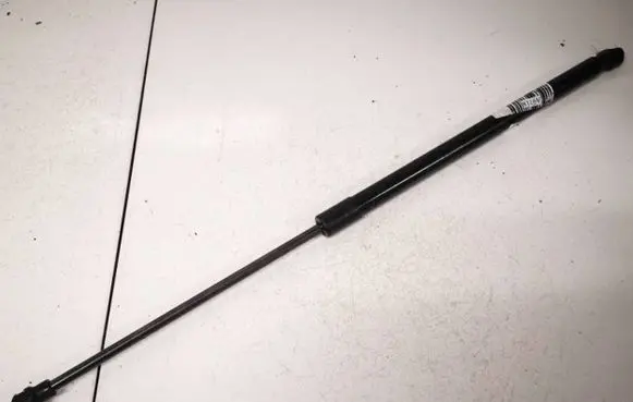 Tailgate/trunk strut/damper