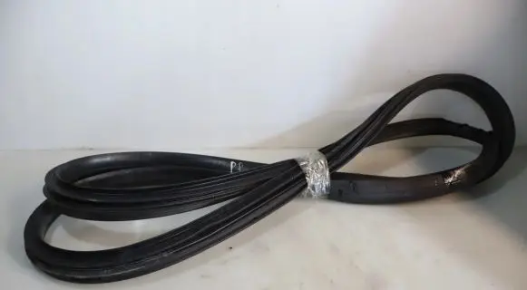 Renault Megane IV Rubber seal front door (on door) 