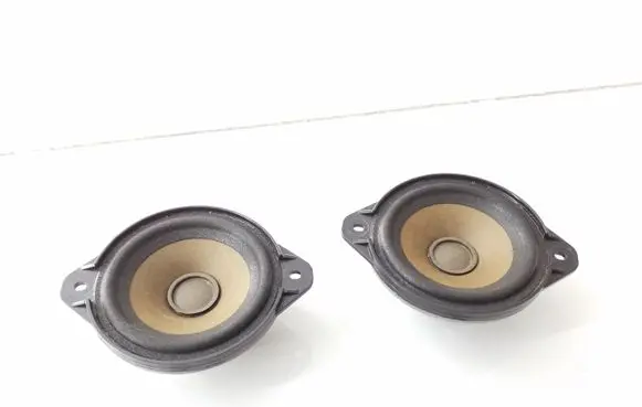 Panel speaker
