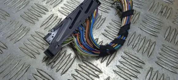 BMW Z4 E89 Other wiring loom
