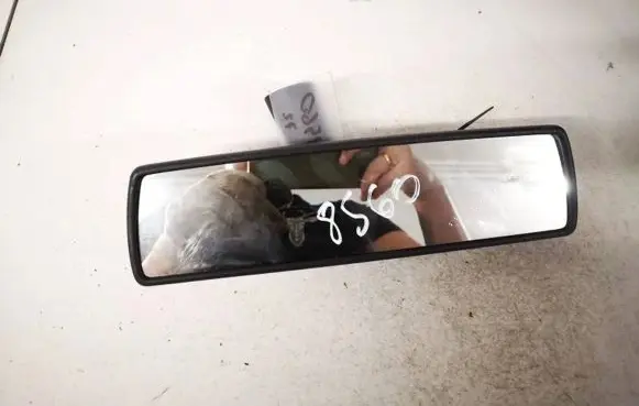 Volkswagen Golf Plus Rear view mirror (interior) e1010761