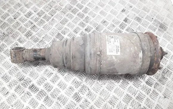 Land Rover Range Rover Sport L320 Rear shock absorber/damper 22238307 RPD500850