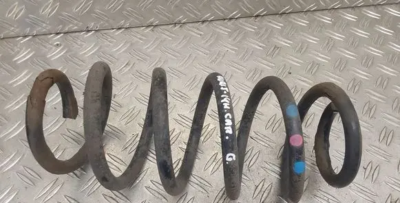 Rear coil spring