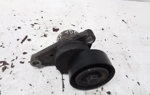 Peugeot 1007 Generator/alternator belt tensioner 9685486880