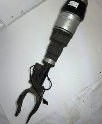 Mercedes-Benz GL X166 Front shock absorber/damper A1663204666 F309513912